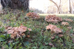 DSCN9536