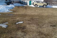 IMG-20190331-WA0002