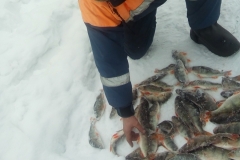 IMG-20190405-WA0047