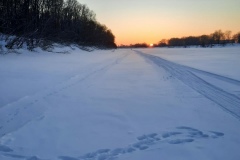 cqjAlyiNgac