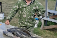 96pzarioOOI