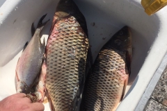 IMG-20180527-WA0058