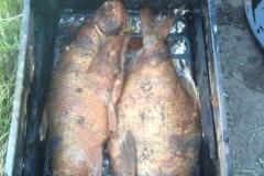 IMG-20200120-WA0185