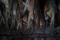 IMG-20200120-WA0198