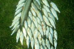 IMG-20200120-WA0201
