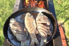 IMG-20200120-WA0225