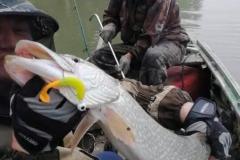 IMG-20200120-WA0227