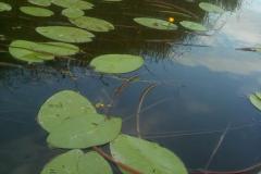 IMG-20200120-WA0228