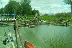 IMG-20200120-WA0233