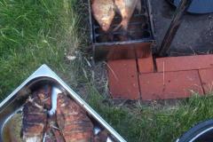 IMG-20200120-WA0234