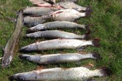 IMG-20200120-WA0237