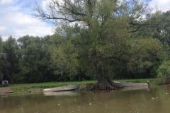 IMG-20200120-WA0241
