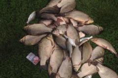 IMG-20200120-WA0243