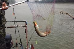 IMG-20200120-WA0245