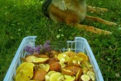 IMG-20200120-WA0251