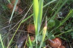 IMG-20200120-WA0260