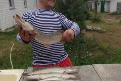 IMG-20200120-WA0270