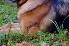 IMG-20200120-WA0280