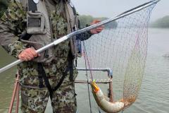IMG-20200120-WA0300