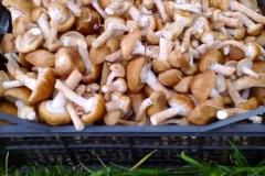 IMG-20200120-WA0302