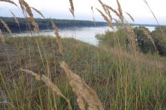 IMG-20200120-WA0303