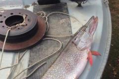 IMG-20200120-WA0311