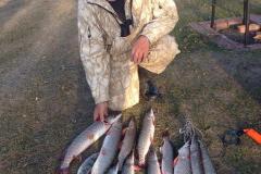IMG-20200120-WA0340